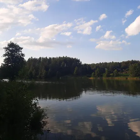 Echo Lasu Guzowy Piec