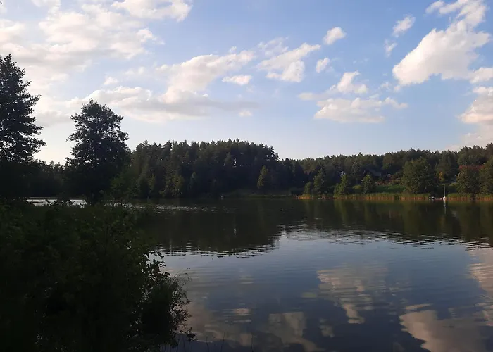 Echo Lasu Guzowy Piec